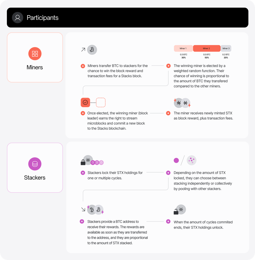 The Role of Miners and Stackers; Source: stacks docs